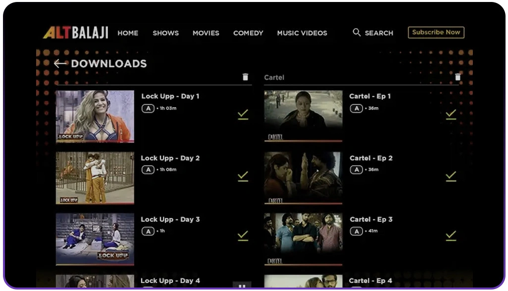 Understanding Viewer Engagement Through Behavioral Patterns