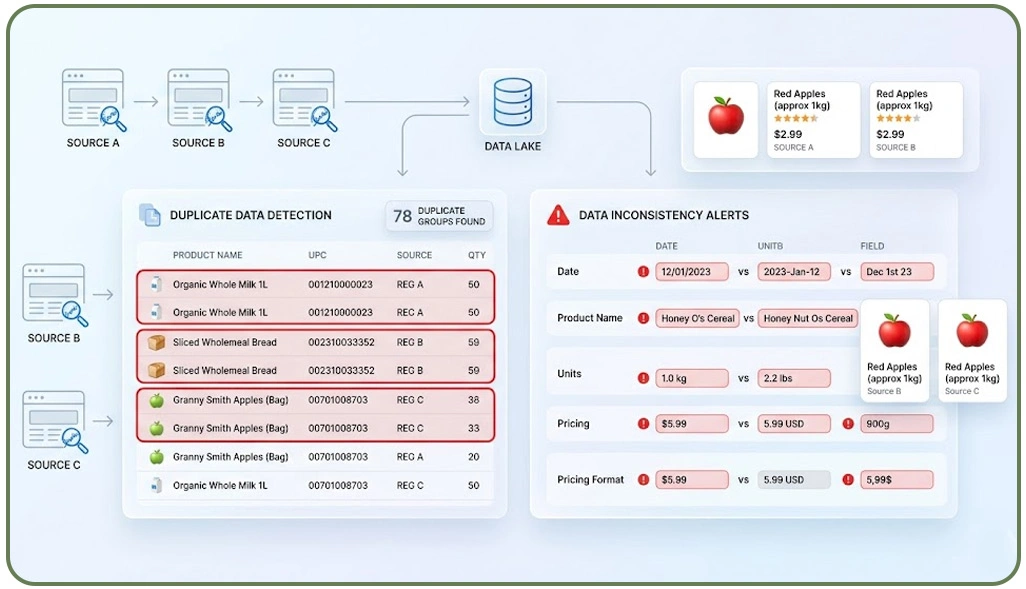 Analyzing Core Reasons Behind Data Duplication and Structural Inconsistencies