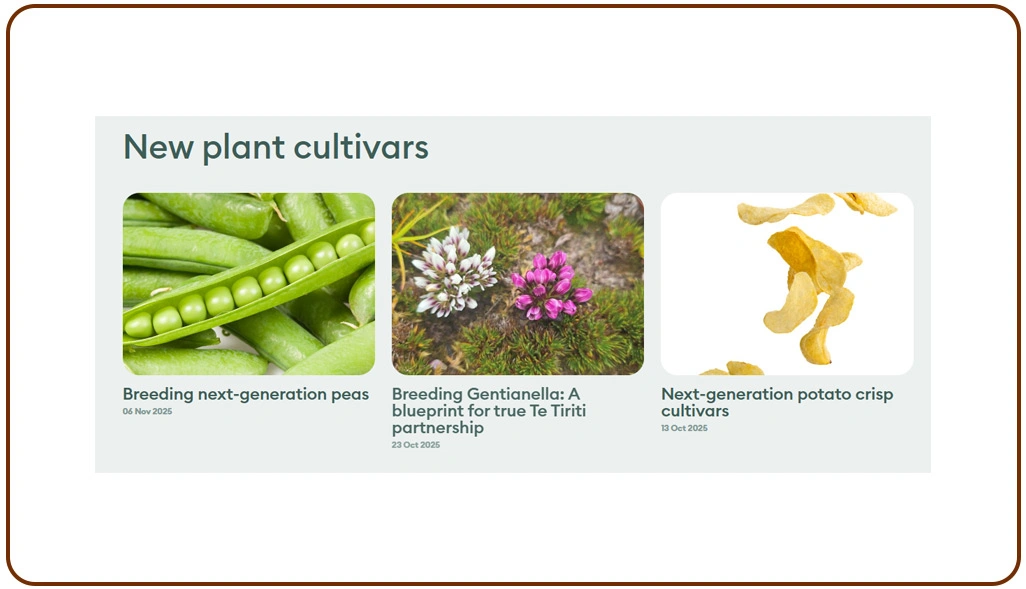 Predicting Future Agricultural Demand Through Data-Driven Intelligence