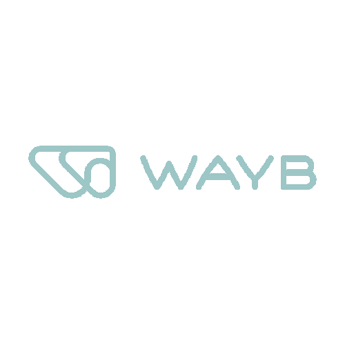WAYB_USA